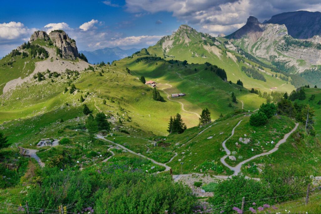 swiss in summer